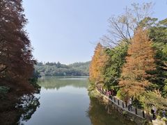 -深圳仙湖植物园