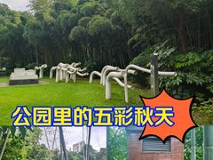 -苏州河梦清园环保主题公园