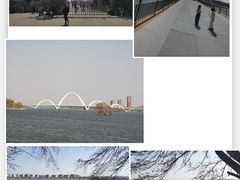 -沈阳鸟岛