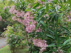 -深圳国际园林花卉博览园