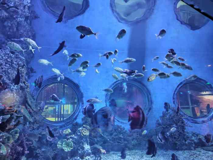 南京金鹰动物世界-"推荐理由:室内够暖和.价格比红山动物园.