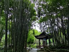 -望江楼公园