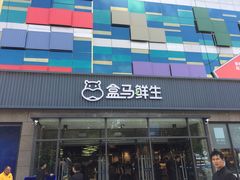门面-盒马鲜生(王府广场店)