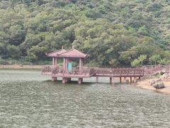 -大姆山草场