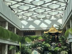 -白天鹅宾馆-宏图府餐厅