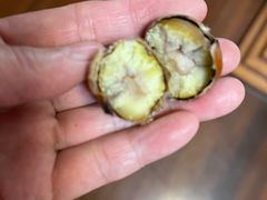 -高记桂花糖炒栗(鼓楼店)