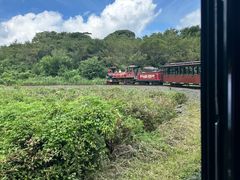 -济州森林小火车生态公园