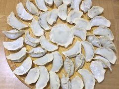 -食家鸽园