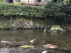 -水前寺成趣园