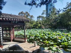 -无锡蠡湖国家湿地公园-蠡园
