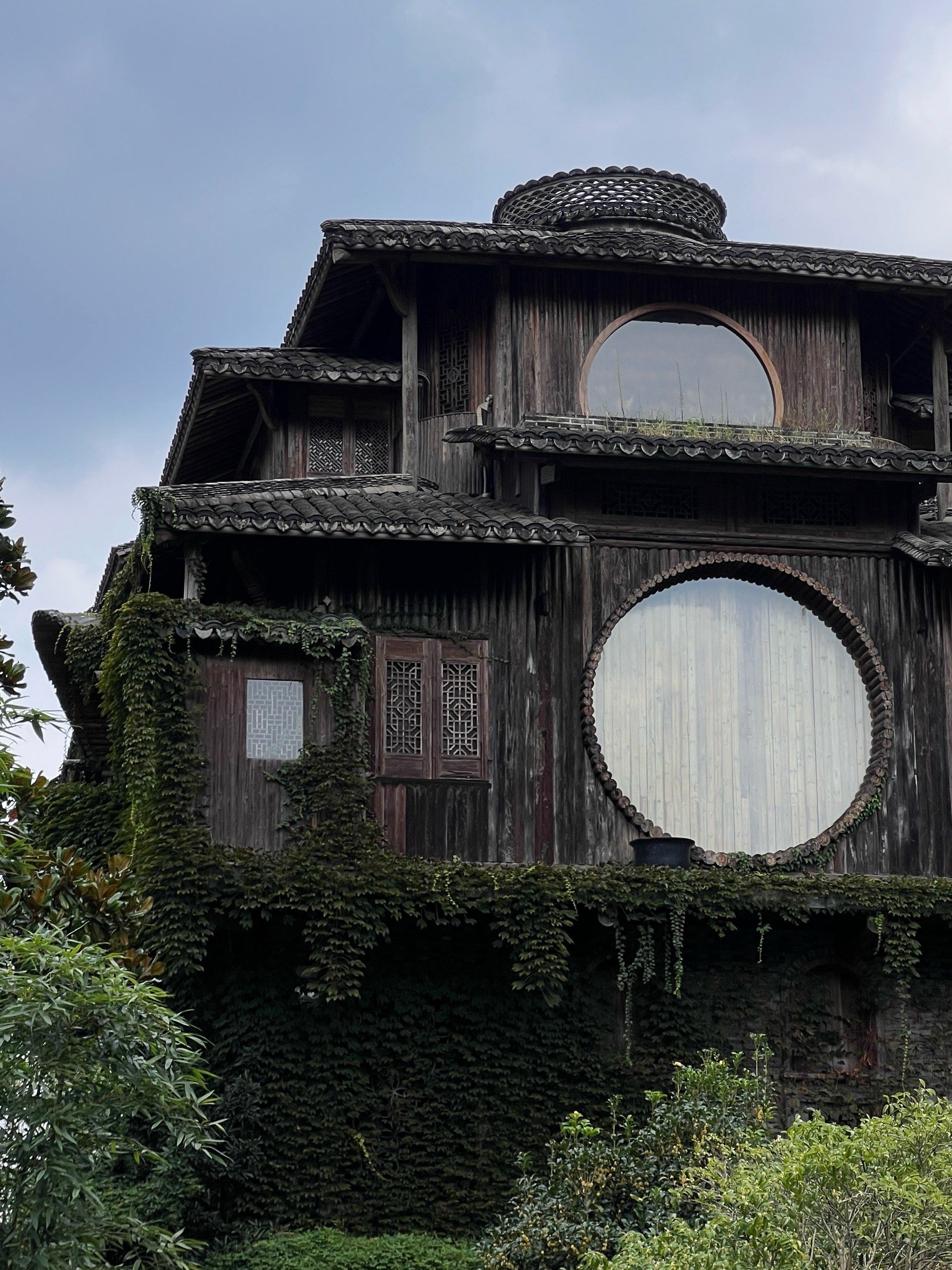 杭州 满陇桂雨 秋天的绝美桂花&汤屋🍂