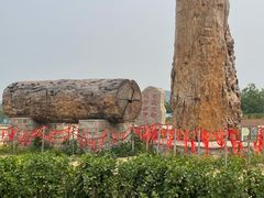 -北京凤凰岭