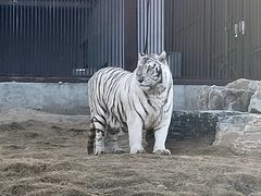 -太原动物园