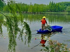 -白鹭湾湿地公园