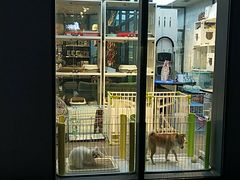 -萌兽医馆·眼科·异宠专科(三里屯店)