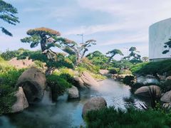 -罗红摄影艺术馆