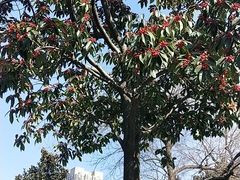 -常州古运河南大街文化旅游区-人民公园
