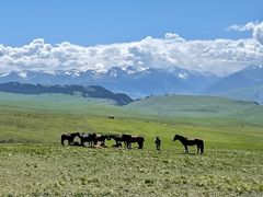 -新疆那拉提国家旅游度假区