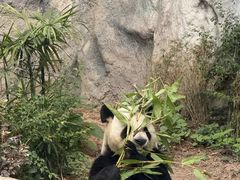-石排湾郊野公园