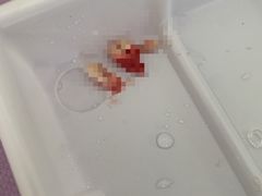 -北京大学口腔医院(第一门诊部)