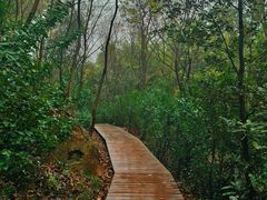 -上海佘山国家森林公园西佘山园