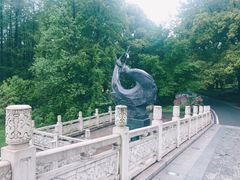 -东湖落雁景区