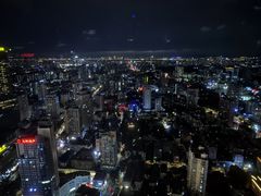 -南京金陵饭店