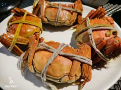 大闸蟹-上海齐鲁万怡大酒店·辣椒屋咖啡厅