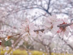 -颐和园