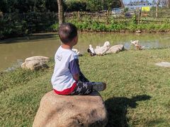 -前小桔亲子创意农场·草莓采摘·露营烧烤