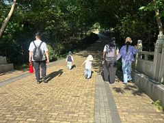 -同里国家湿地公园