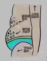 点击看大图 -香薇妮丝女子减肥院