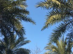 -苏州湾王焰温泉度假酒店