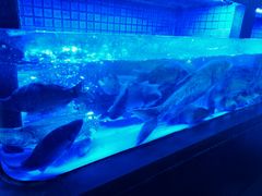 -徐记海鲜(大雁塔|金都店)