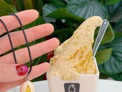 -野人先生现做冰淇淋(北京王府井东方新天地店)