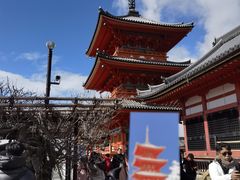-有栖山 清光院 清水寺