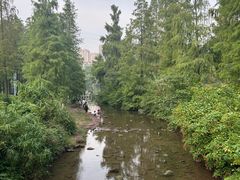 -重庆彩云湖湿地公园