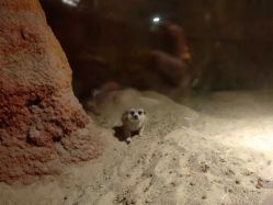 -酷嗒动物文化乐园(cutezoo西溪乐天城店)