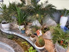 -瑞扬草芽过桥米线(穿金路店)