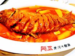 红烧黄河鲤鱼-阿五黄河大鲤鱼(海尚店)