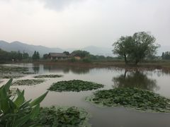 -长兴太湖图影湿地文化园