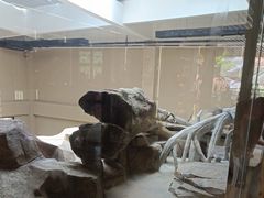 -宁波野生动物园