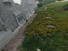 -抱犊寨风景区
