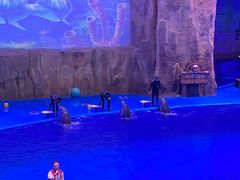 -华夏文旅海洋公园