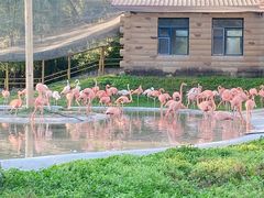 -哈尔滨北方森林动物园