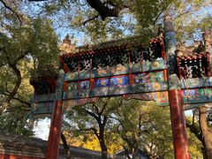 -北京国子监胡同