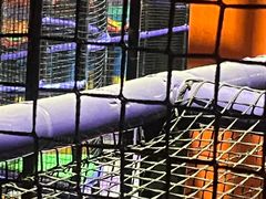 -Tenker Club弹刻极限主题公园 · 蹦床 · 团建 · 生日派对(大关店)