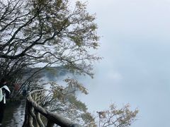 -张家界天门山国家森林公园
