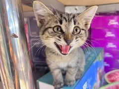 -忆相生活照相馆(苏州中心店)