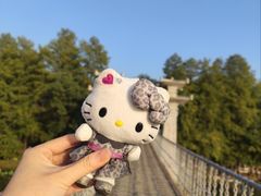 -东湖落雁景区